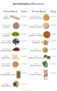 A Nutritionist Explains: The Best Plant-Based Protein Sources | Hello ...