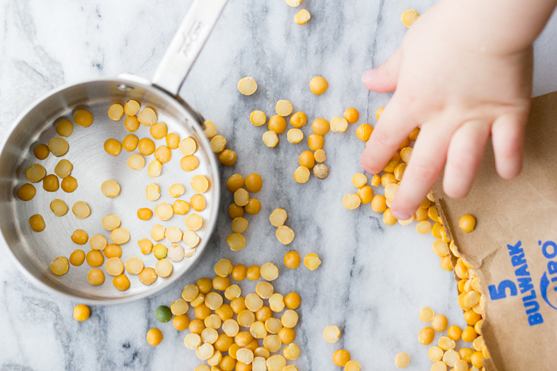 A Nutritionist's Thoughts on Raising Vegetarian Kids