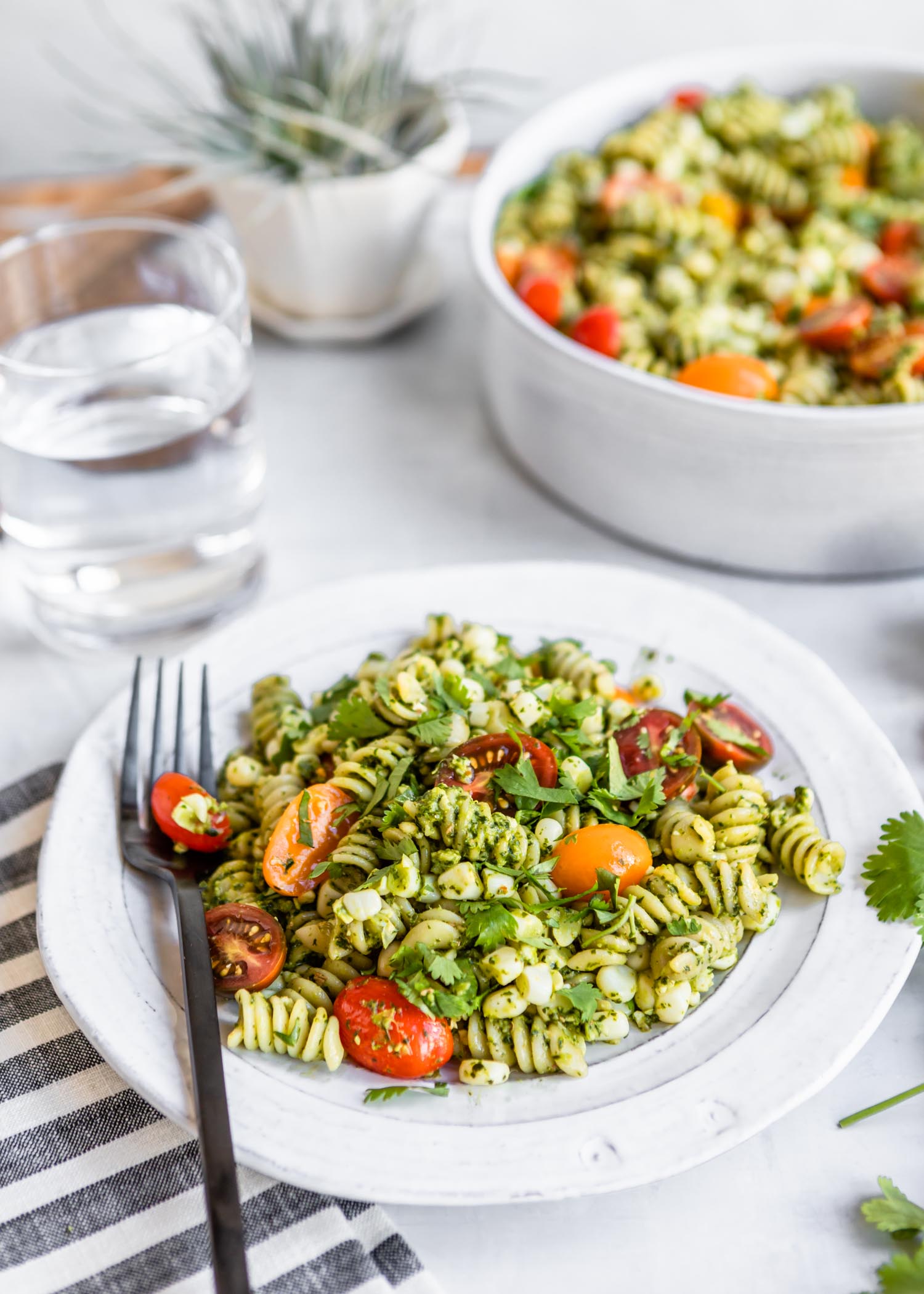 Jalapeño Cilantro Pesto Rotini with Grape Tomatoes and Sweet Corn