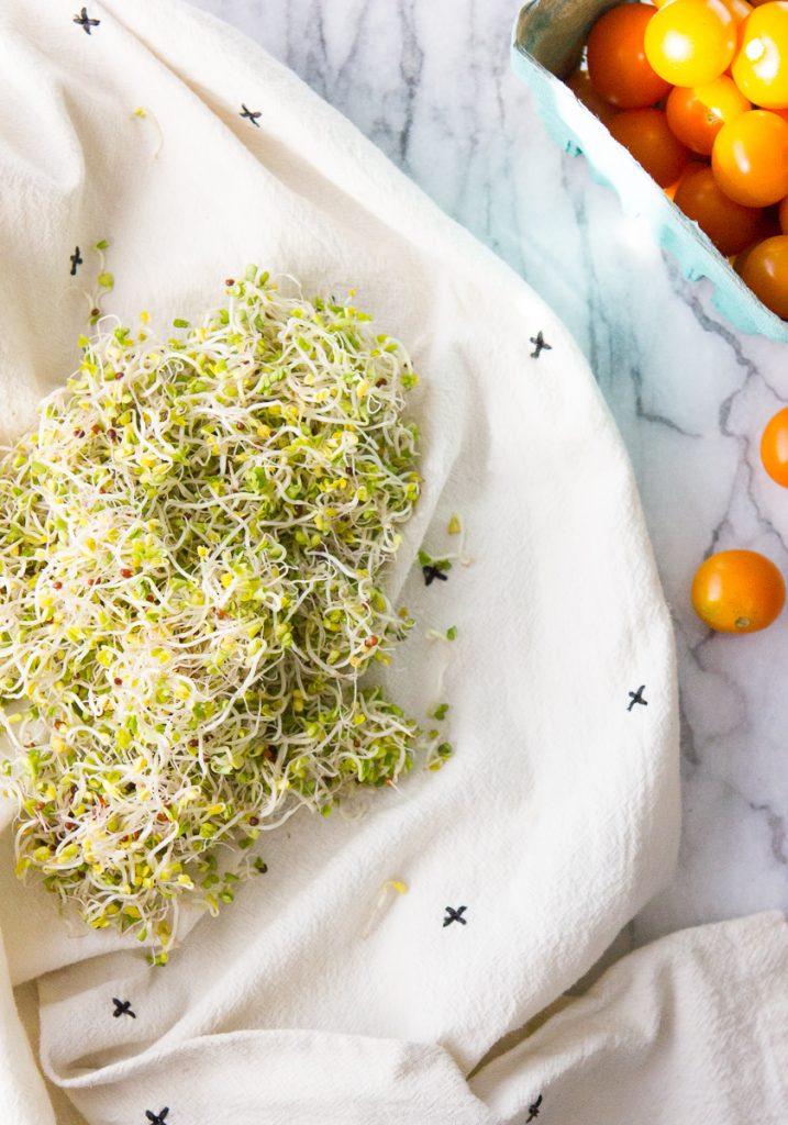 A Beginner's Guide to Growing Your Own Sprouts