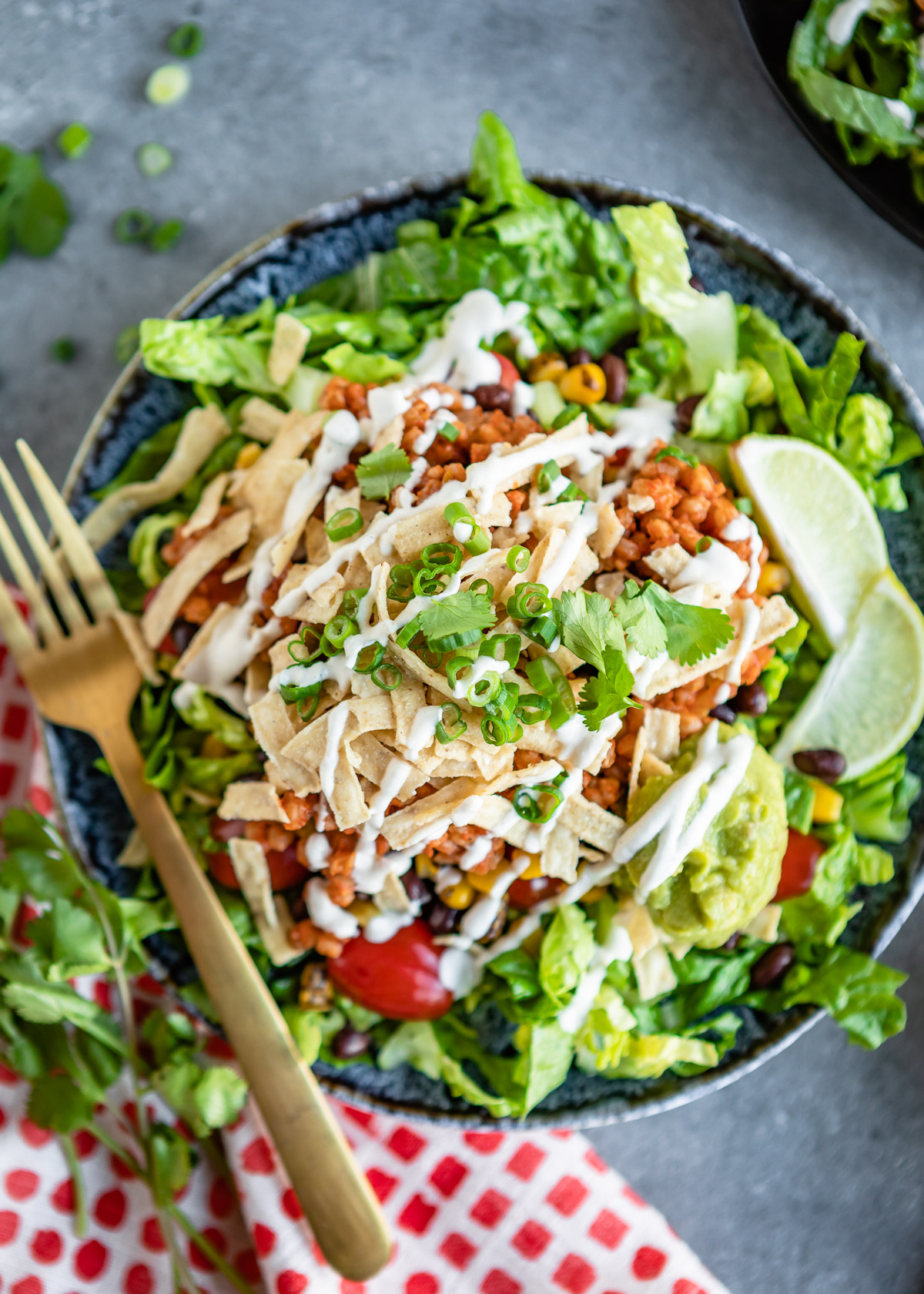 Ridiculously Big Vegetarian Taco Salad Hello Veggie