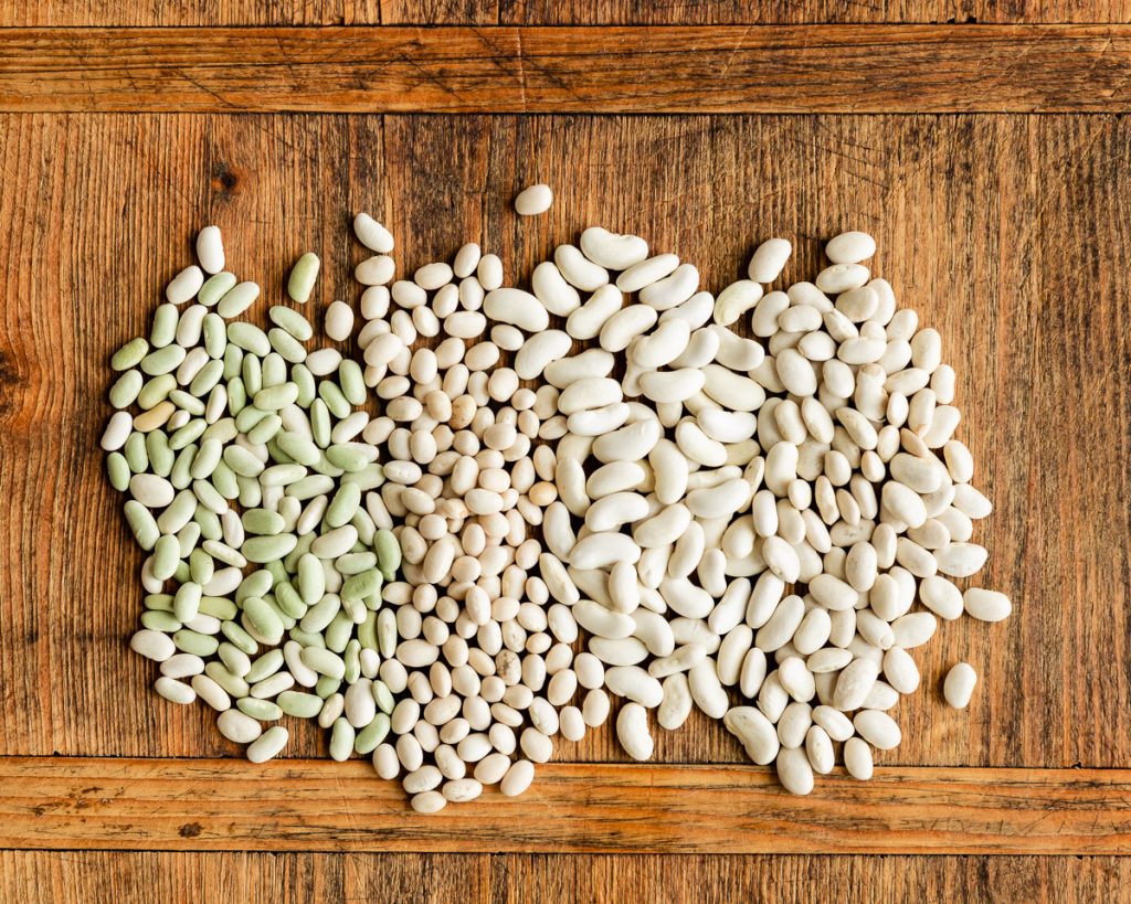 Different types of white beans | HelloVeggie.co