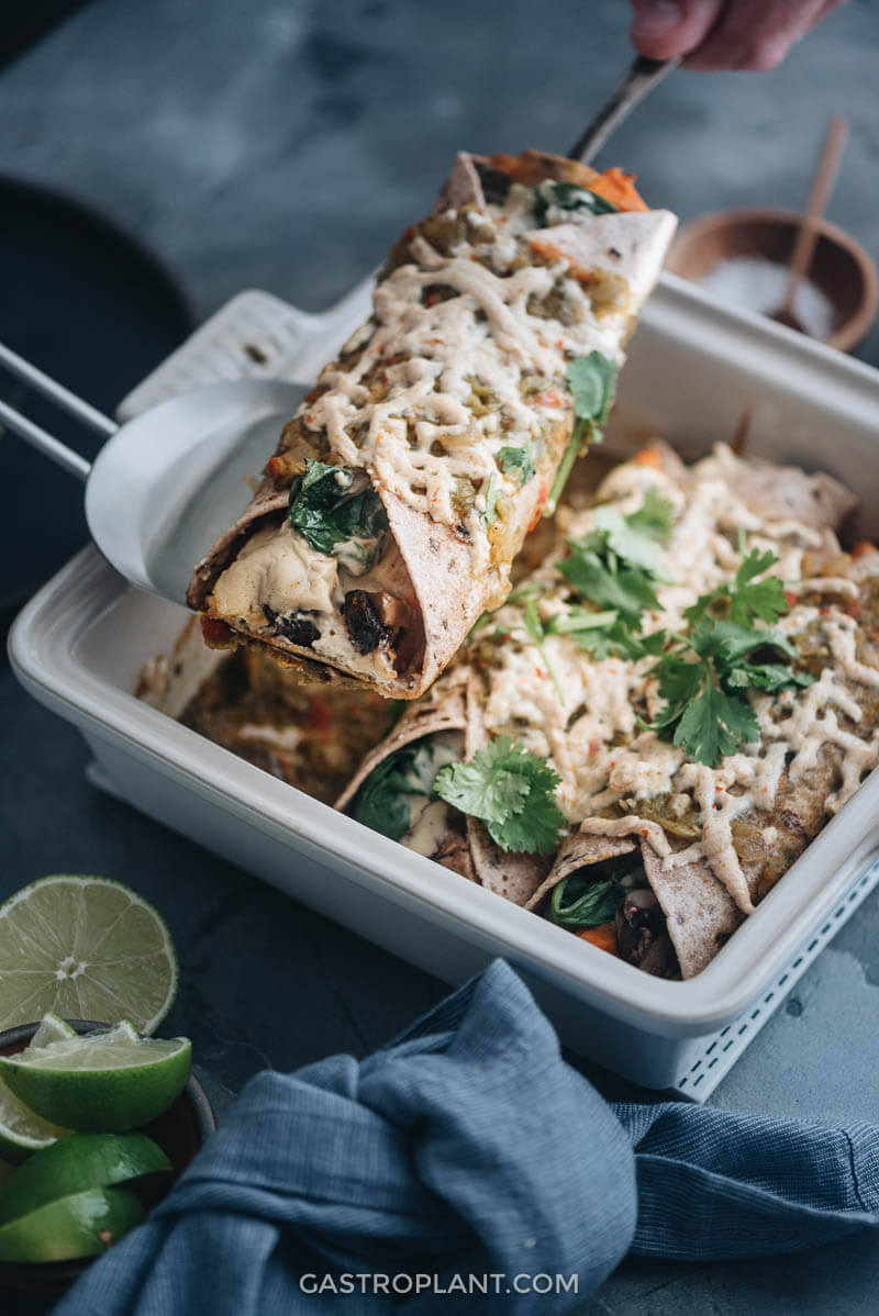 Vegan Enchiladas from Gastroplant