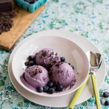 Vegan Blueberry Chocolate ice Cream