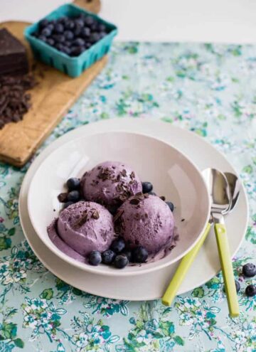 Vegan Blueberry Chocolate ice Cream